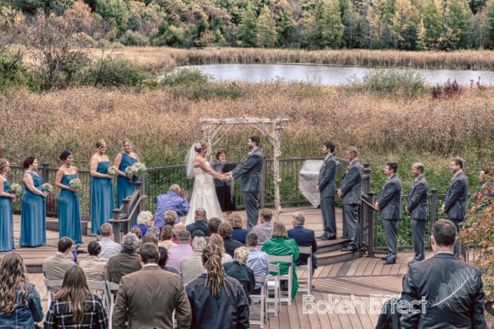 Anika + Jacob | UMN Landscape Arboretum | Minneapolis Wedding Photography
